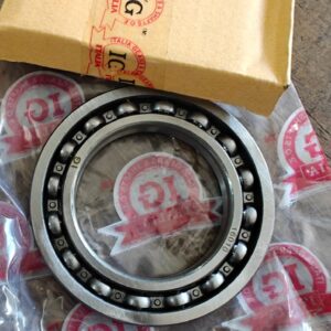 16010 DIFFERENTIAL BEARING APE