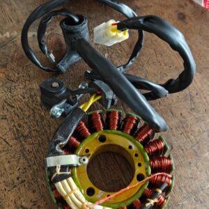 Magnet Coil Assy APE CITY PETROL